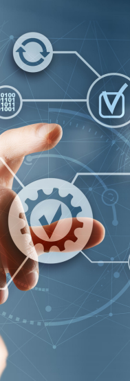 Website Development Services